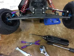 ecx-circuit-camber-replacement.webp