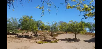 Screenshot_20190826-080449_Video Player.webp